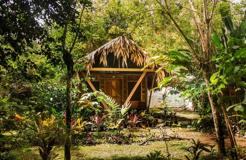 Cahuita Cabin | Wildlife Lodge Cahuita