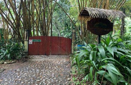 Cabo Matapalo House | Wildlife Oasis Surf, Rainforest, Animals