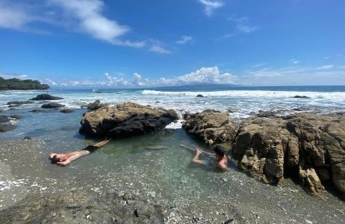 Cabo Matapalo House | Wildlife Oasis Surf, Rainforest, Animals
