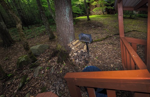 Cosby Cabin | Wildwood Flower -Rustic, cozy, authentic log cabin