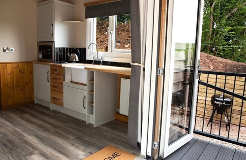 Hendrerwydd Cabin | Wildwood quarry Cabin - Pet Friendly - Sleeps 3/4