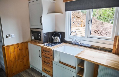 Hendrerwydd Cabin | Wildwood quarry Cabin - Pet Friendly - Sleeps 3/4