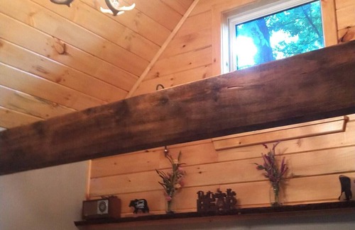 Dansville Cabin | Will-Liv Cabin , 2 new cabins for larger family groups