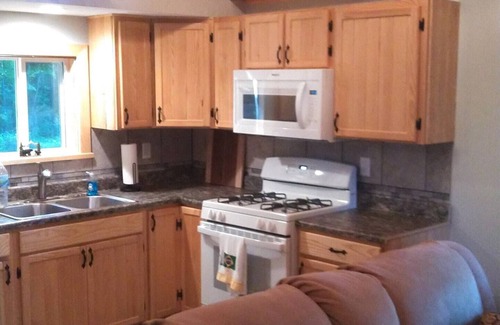 Dansville Cabin | Will-Liv Cabin , 2 new cabins for larger family groups
