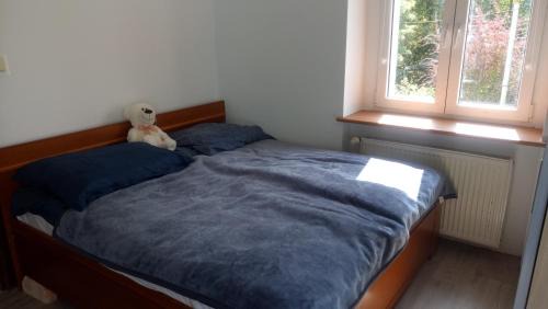 Gorzow Wielkopolski Apartment | Willa Alba