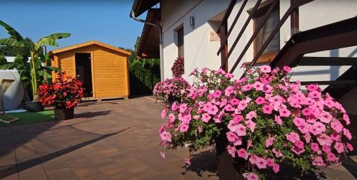 gmina Przeciszow Bed & Breakfast | Willa Boconek - Zator Przeciszów