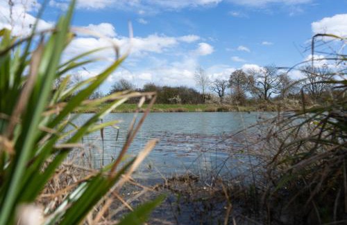 Woodbridge House | Willow Cottage