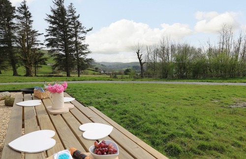 Llangurig Cottage | Willow
