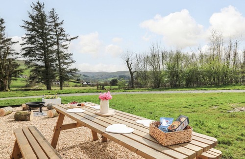 Llangurig Cottage | Willow