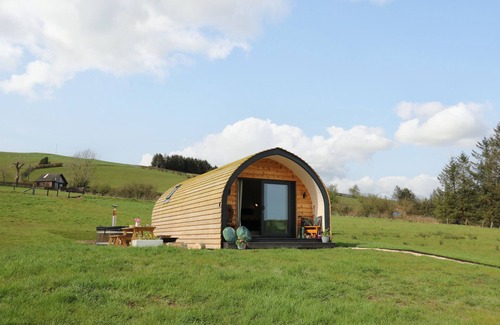Llangurig Cottage | Willow