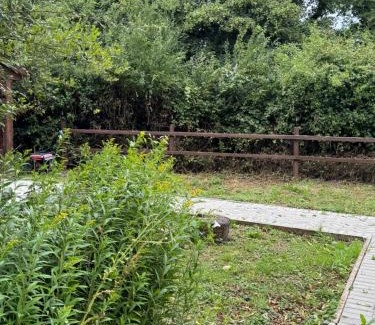 Penmark Other | Willow Lodge Farm