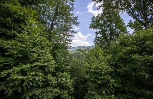 Boone House | Willow Valley View