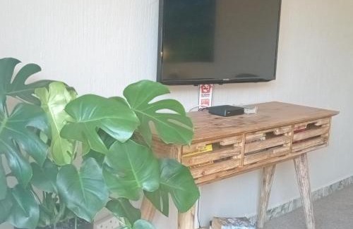 Die Wilgers Apartment | Willows Garden Cottage