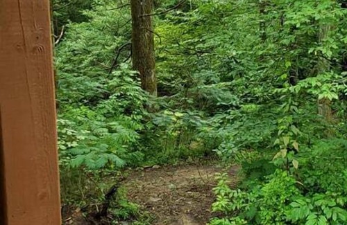 Elgin Cabin | Windrock Hideout Log Cabin Trails 26,27 and 43