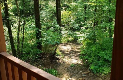 Elgin Cabin | Windrock Hideout Log Cabin Trails 26,27 and 43