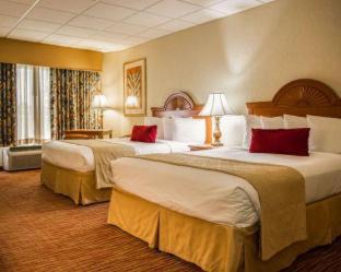 Clearwater Beach Hotel | Winter the Dolphin's Beach Club, an Ascend Collection Hotel