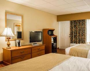 Clearwater Beach Hotel | Winter the Dolphin's Beach Club, an Ascend Collection Hotel