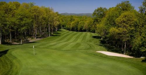 Chestnut Springs House | Wintergreen