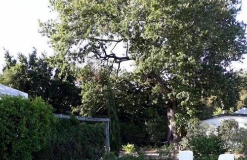 Swellendam House | Winterson en Somerkoelte