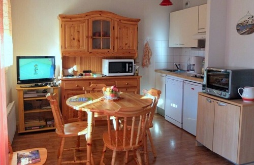 Vielle-Aure Apartment | With terrace exp south, near lifts, WI FI internet