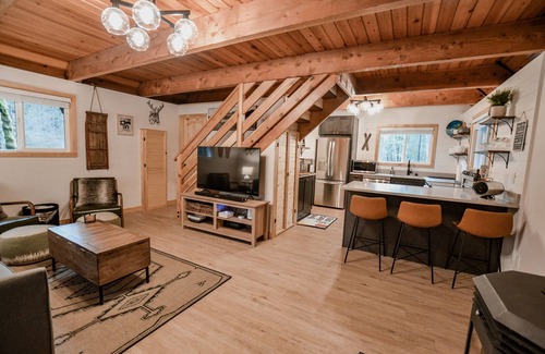 Ashford Cabin | Wits End Retreat @ Mt. Rainier - Hot Tub & WiFi