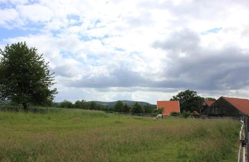 Detmold Apartment | Wohlfühlwohnung im Grünen auf Pferdehof