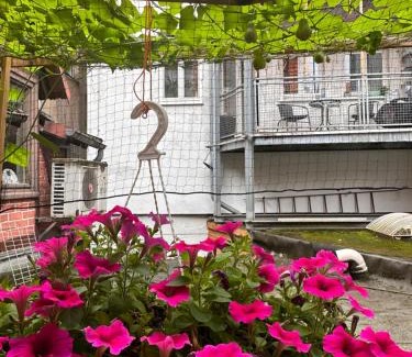 Hannoversch Munden Apartment | Wohnung im Herzen der historischen Altstadt