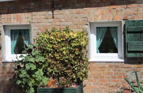Damgarten Apartment | Wohnung in Ribnitz Damgarten