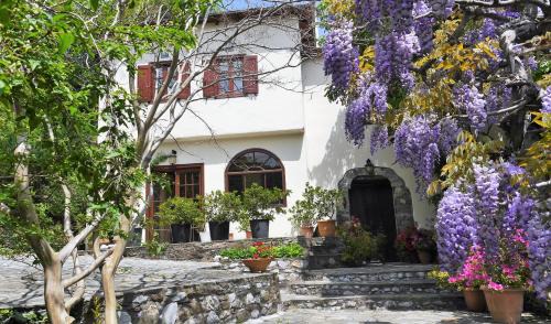 Zagora-Mouresi Villa | Wonderful 4 Bedroom Villa & separate guest house Villa Thalia