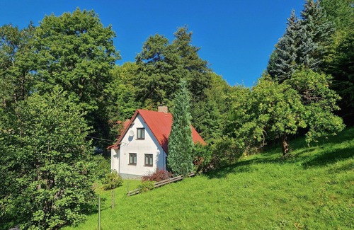 Zelezny Brod Villa | Wonderful private villa for 5 guests with TV, terrace and pets allowed
