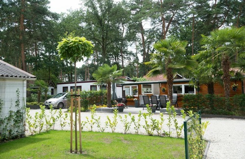 Nieuwe Heide House | Wonderful private villa for 4 people with WIFI, TV, terrace and parking