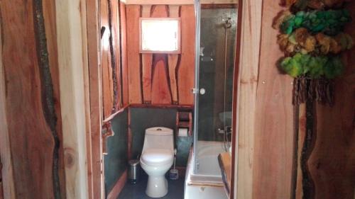 Pucon House | Wonderful rustic cabin, with native trees, with Rio Trancura, equipped