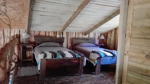 Pucon House | Wonderful rustic cabin, with native trees, with Rio Trancura, equipped