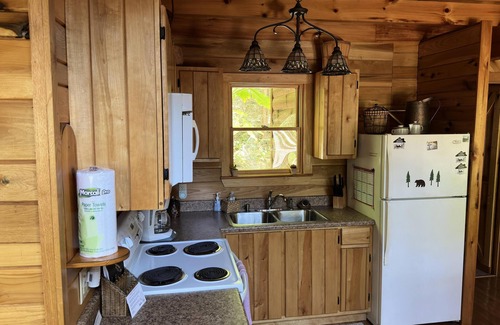 Rogers Cabin | Wonderful secluded cabin with wi-fi, hot tub and large fire pit on a cliff side