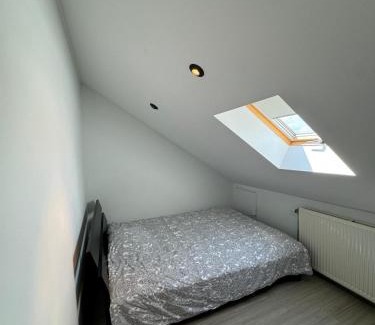 Boom House | Woning in Boom