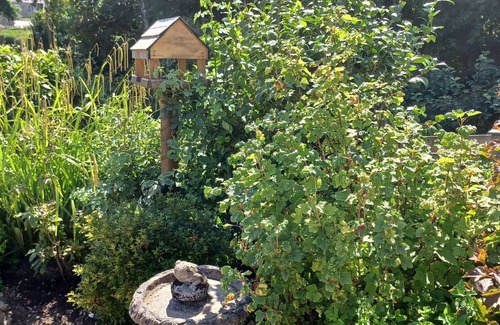 Mylor Bridge Cottage | Woodbine Cottage