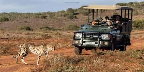 Sidbury Other | Woodbury Tented Camp – Amakhala Game Reserve