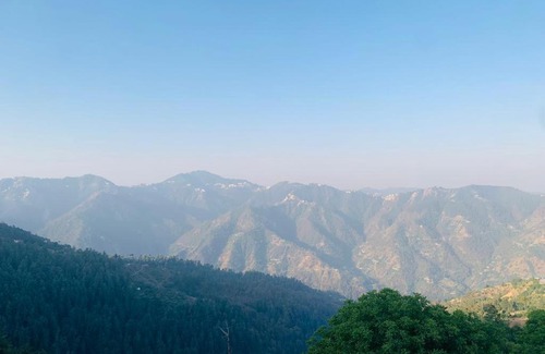 Shimla House | Woodista Villa