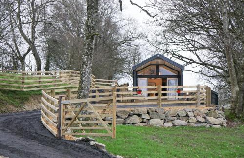 Llandrindod Wells House | Woodland Escape