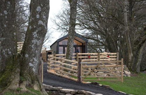 Llandrindod Wells House | Woodland Escape