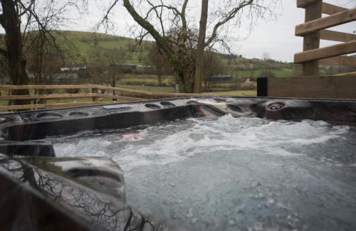 Llandrindod Wells House | Woodland Escape