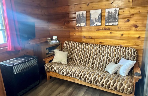Gaylord Cabin | Woodland SKI SNOWMOBILE Cabin semi-rustic pets ok