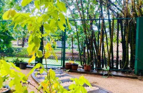 Negombo Hotel | Woodnest Villa Rustic