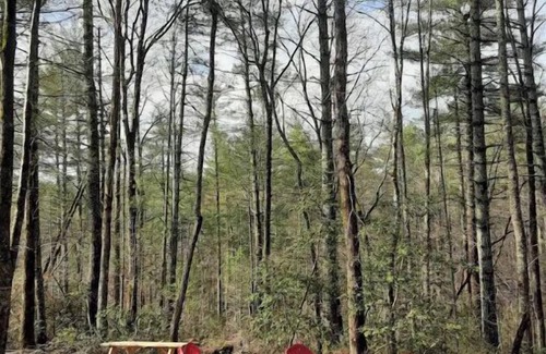 Morganton Cottage | Woodsy cottage next to Lake James