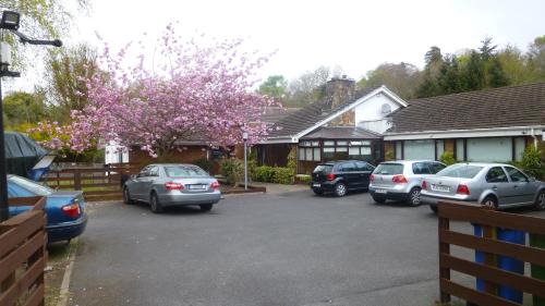 Bray Bed & Breakfast | Woodville B&B