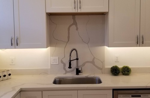 Royal Oak House | Woodward Grand! Tall ceiling new construction modern farmhouse design!