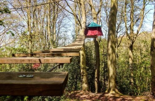 Fecamp Other | Woody Park