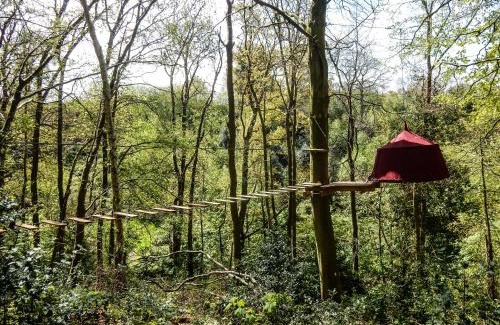 Fecamp Other | Woody Park
