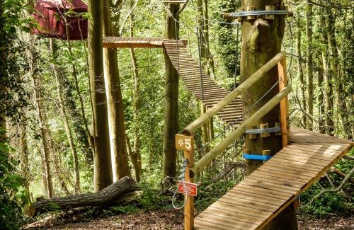 Fecamp Other | Woody Park