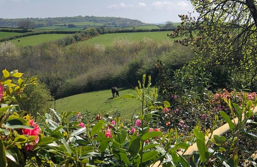 Ilsington Cottage | Wottonsbury